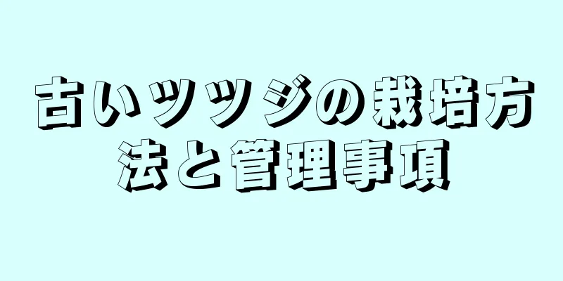 古いツツジの栽培方法と管理事項