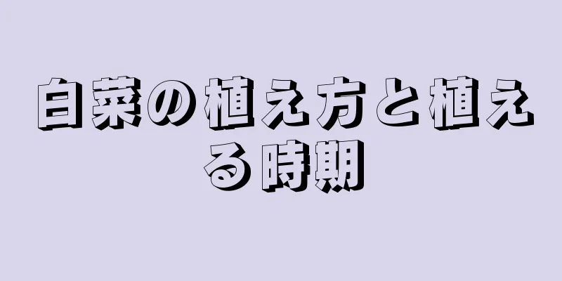 白菜の植え方と植える時期