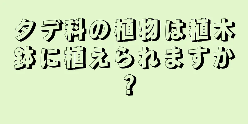タデ科の植物は植木鉢に植えられますか？