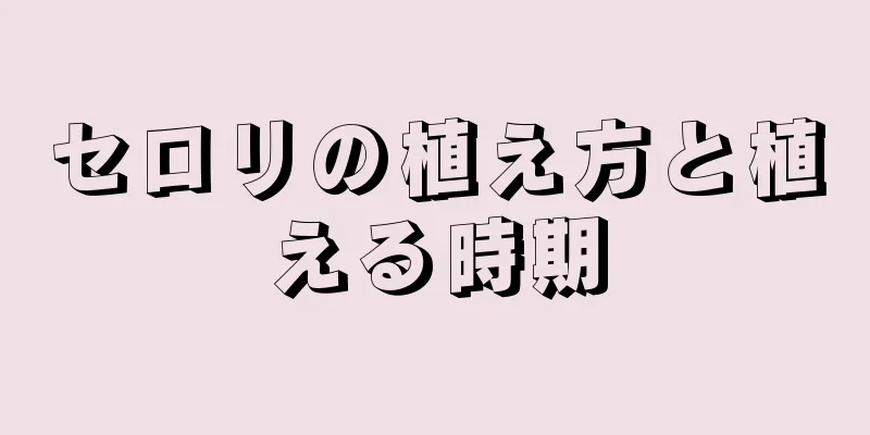 セロリの植え方と植える時期