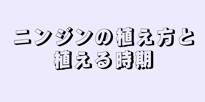 ニンジンの植え方と植える時期
