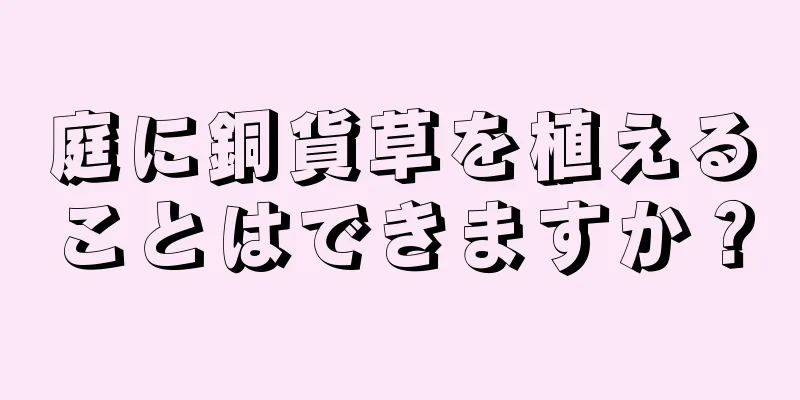 庭に銅貨草を植えることはできますか？