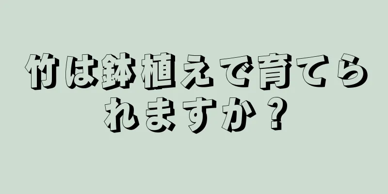 竹は鉢植えで育てられますか？