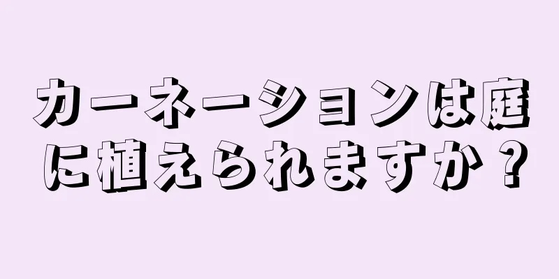 カーネーションは庭に植えられますか？
