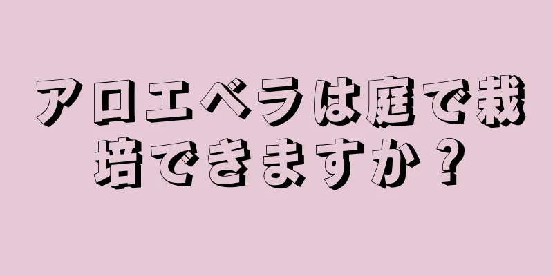 アロエベラは庭で栽培できますか？
