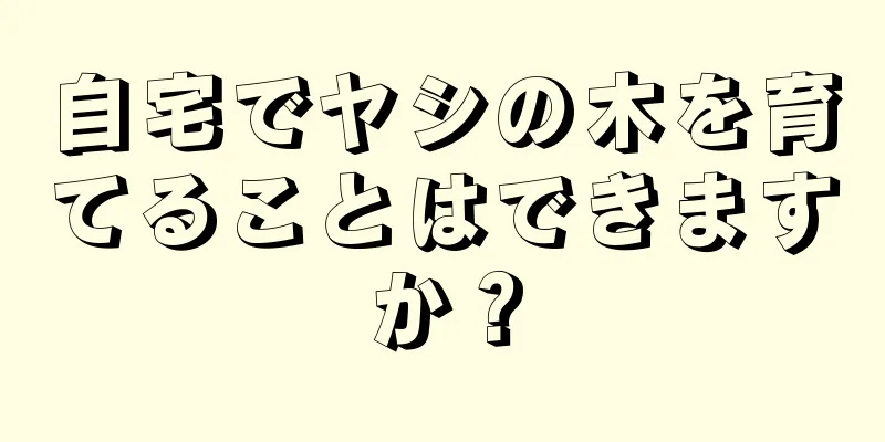 自宅でヤシの木を育てることはできますか？