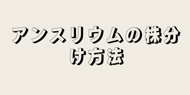 アンスリウムの株分け方法