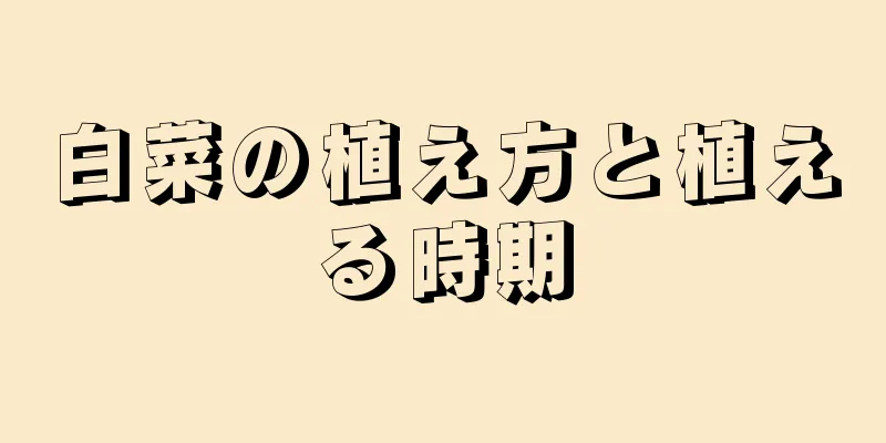 白菜の植え方と植える時期