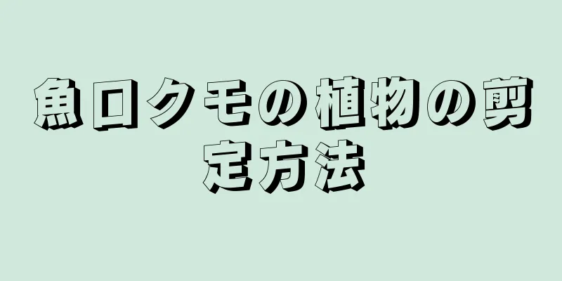 魚口クモの植物の剪定方法