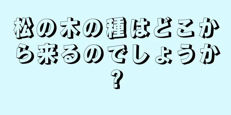 松の木の種はどこから来るのでしょうか?