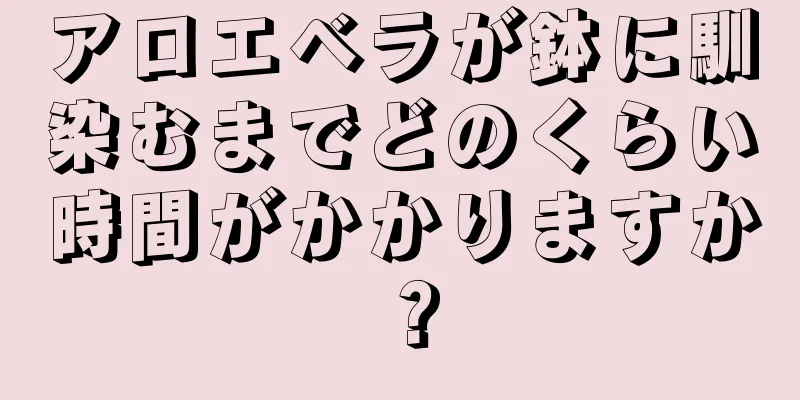 アロエベラが鉢に馴染むまでどのくらい時間がかかりますか？