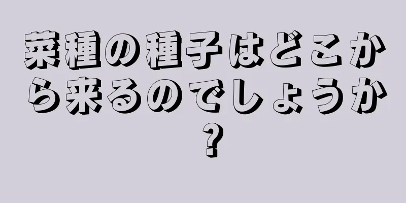 菜種の種子はどこから来るのでしょうか？