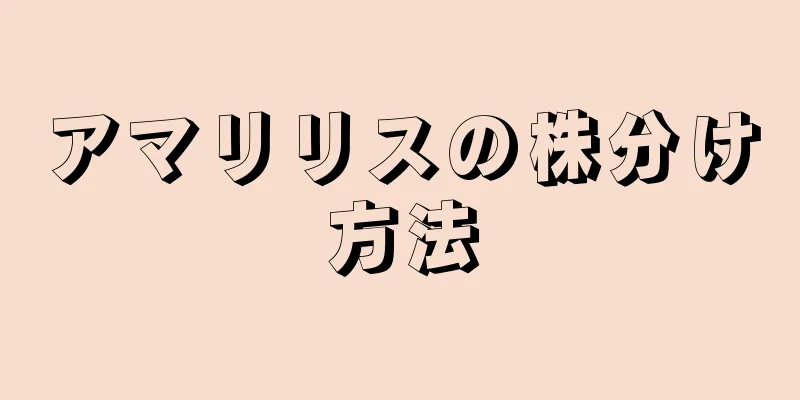 アマリリスの株分け方法