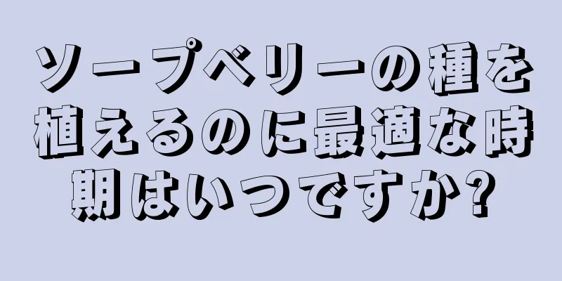 ソープベリーの種を植えるのに最適な時期はいつですか?