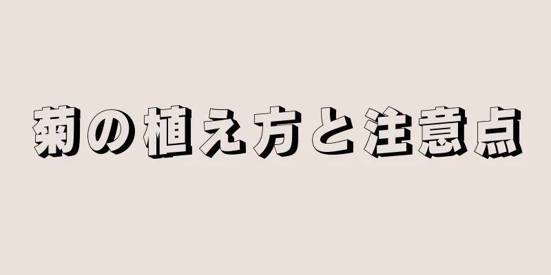 菊の植え方と注意点