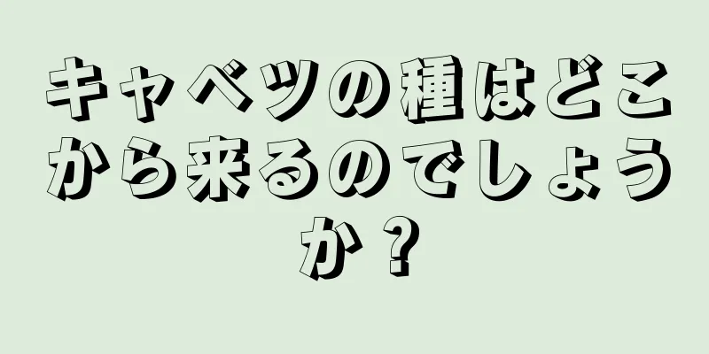 キャベツの種はどこから来るのでしょうか？