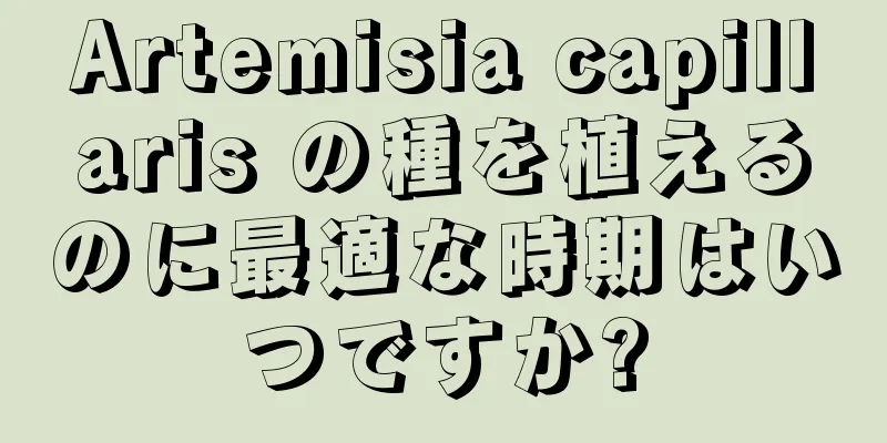 Artemisia capillaris の種を植えるのに最適な時期はいつですか?