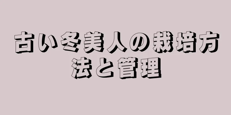 古い冬美人の栽培方法と管理