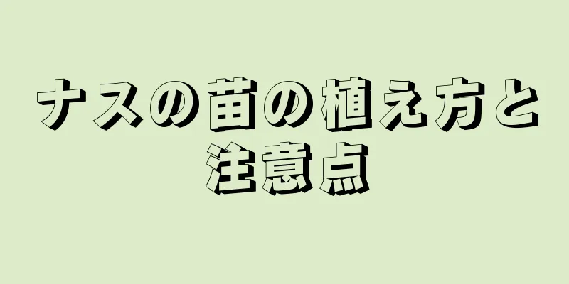 ナスの苗の植え方と注意点