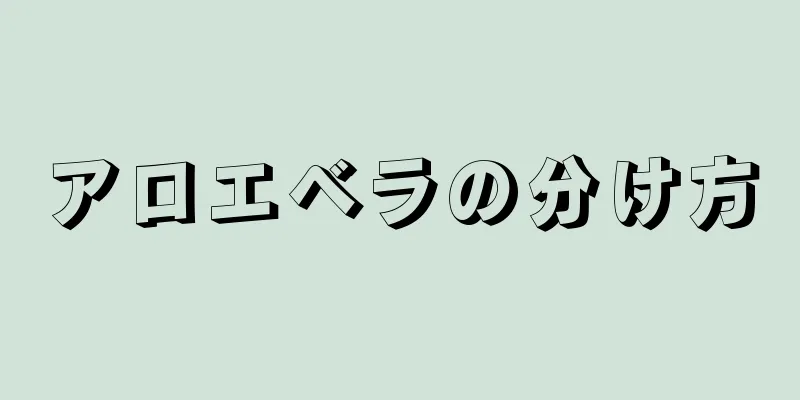 アロエベラの分け方
