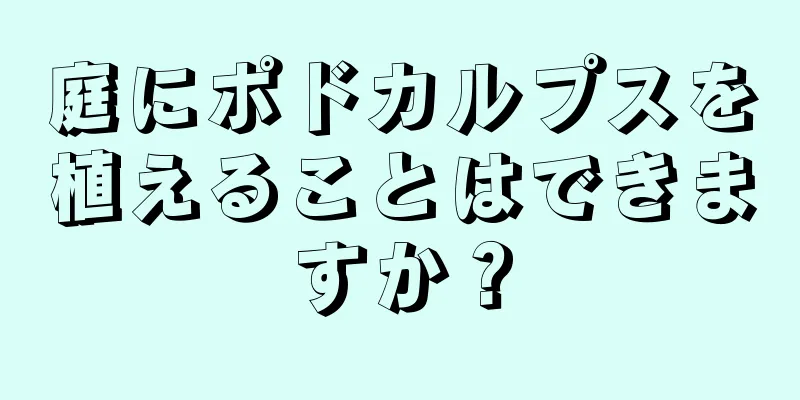 庭にポドカルプスを植えることはできますか？