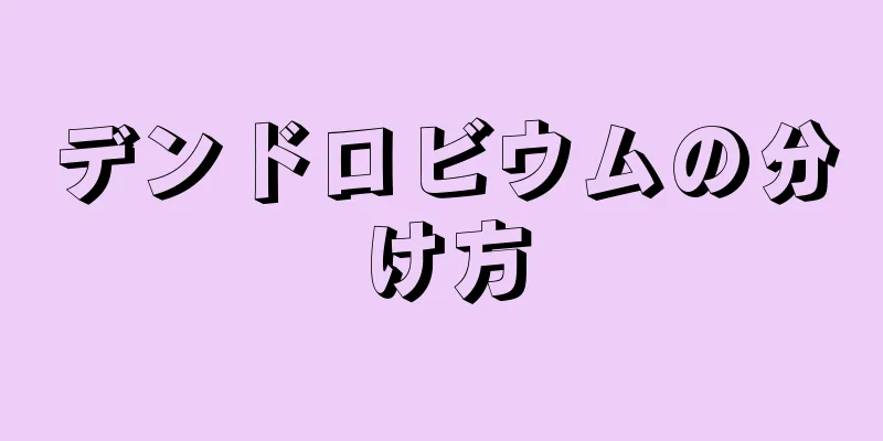 デンドロビウムの分け方