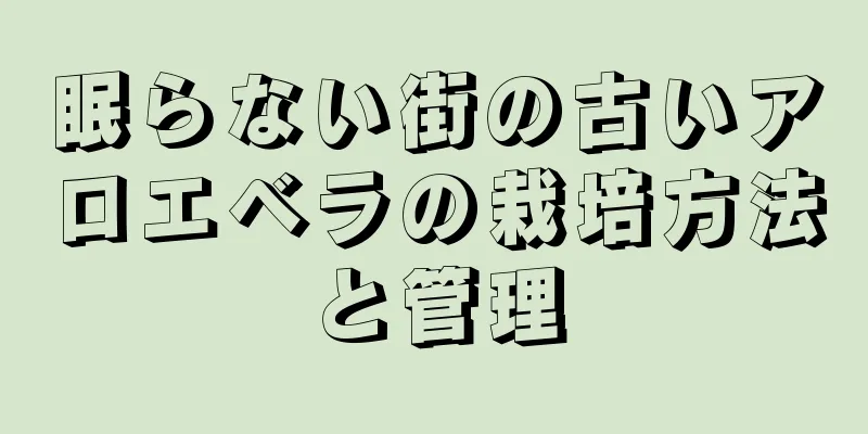 眠らない街の古いアロエベラの栽培方法と管理