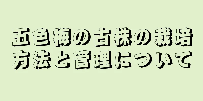 五色梅の古株の栽培方法と管理について