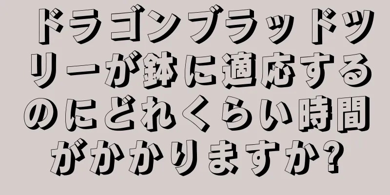 ドラゴンブラッドツリーが鉢に適応するのにどれくらい時間がかかりますか?