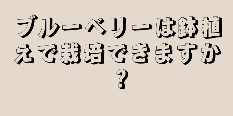 ブルーベリーは鉢植えで栽培できますか？