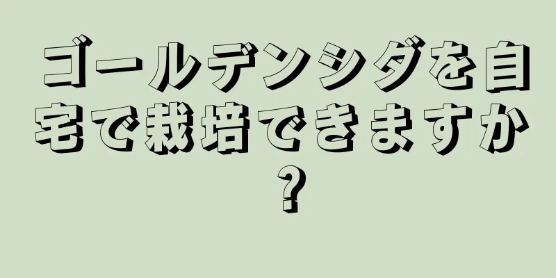 ゴールデンシダを自宅で栽培できますか？