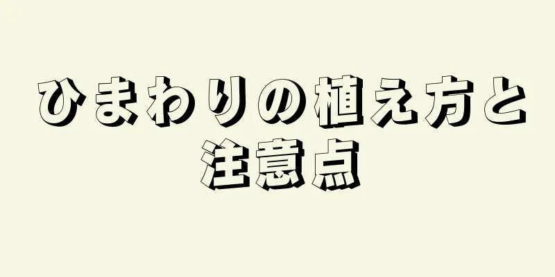 ひまわりの植え方と注意点