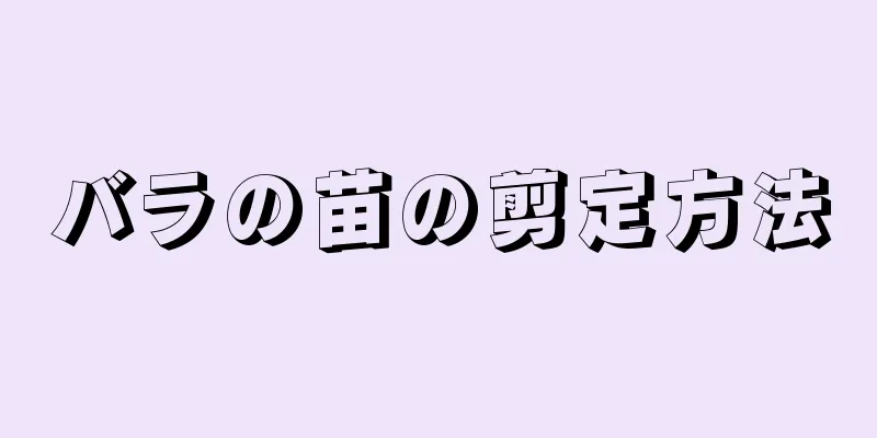 バラの苗の剪定方法