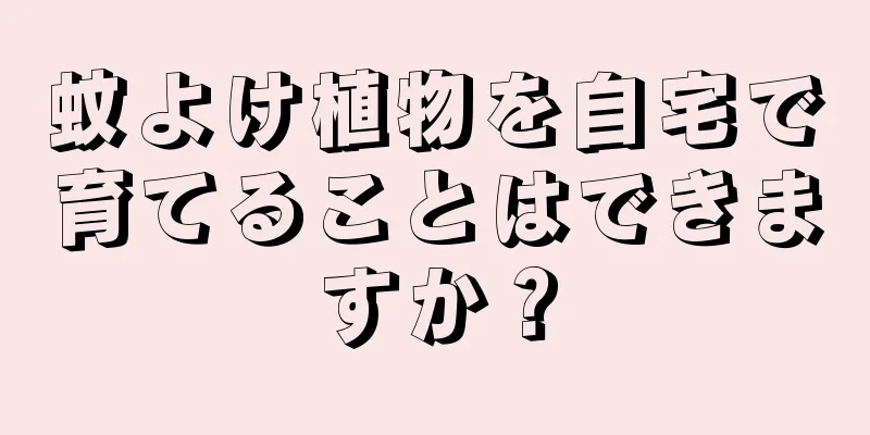 蚊よけ植物を自宅で育てることはできますか？