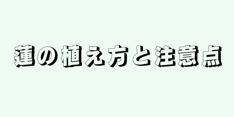 蓮の植え方と注意点