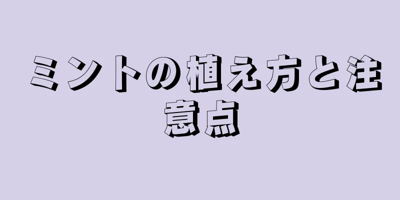 ミントの植え方と注意点