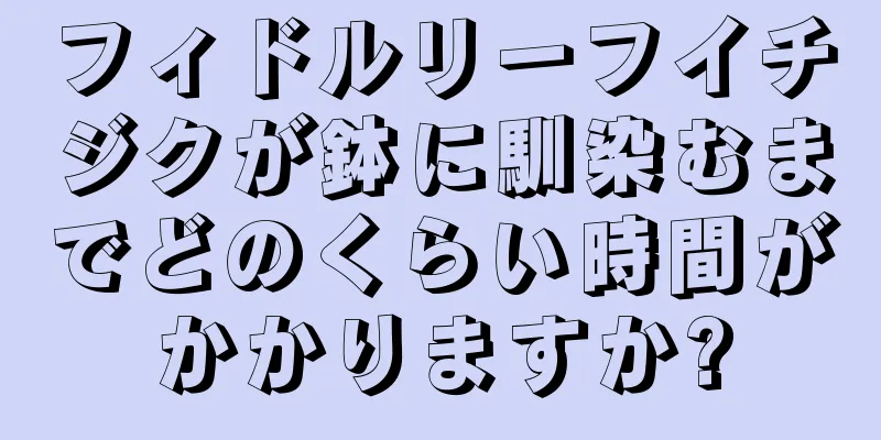 フィドルリーフイチジクが鉢に馴染むまでどのくらい時間がかかりますか?