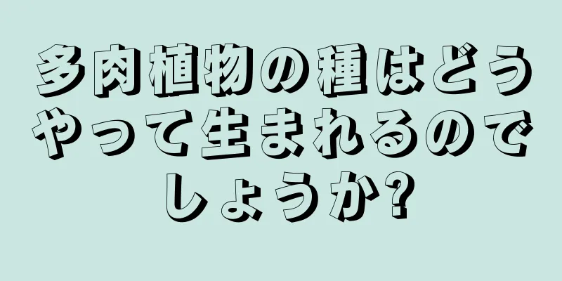 多肉植物の種はどうやって生まれるのでしょうか?