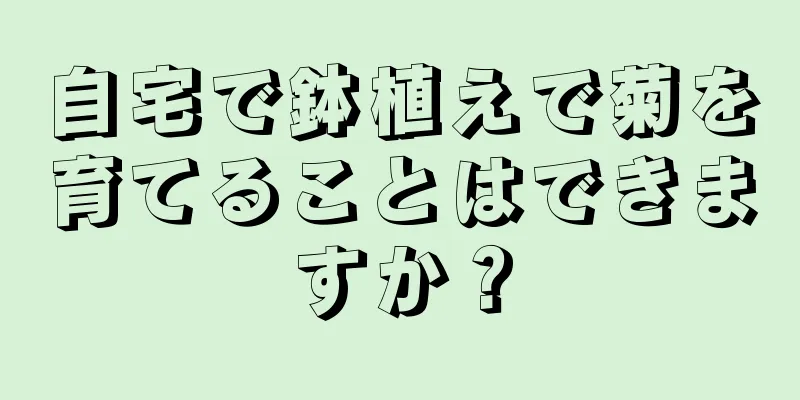 自宅で鉢植えで菊を育てることはできますか？