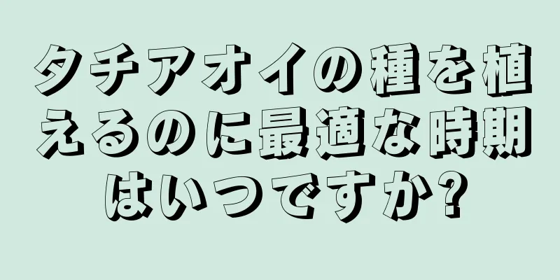 タチアオイの種を植えるのに最適な時期はいつですか?