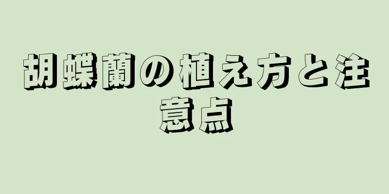 胡蝶蘭の植え方と注意点