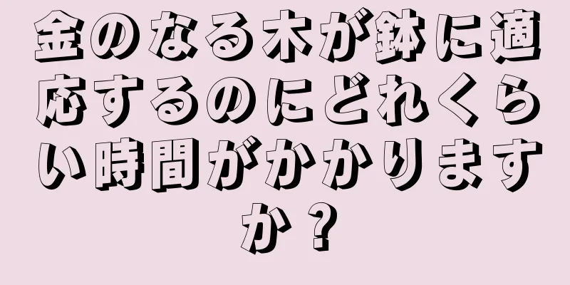 金のなる木が鉢に適応するのにどれくらい時間がかかりますか？