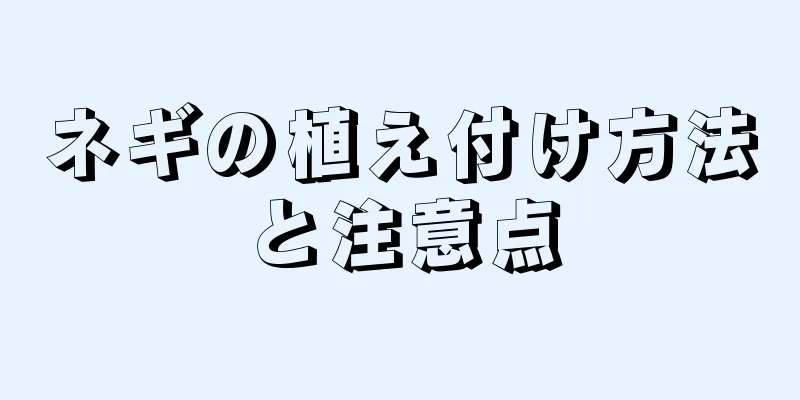 ネギの植え付け方法と注意点