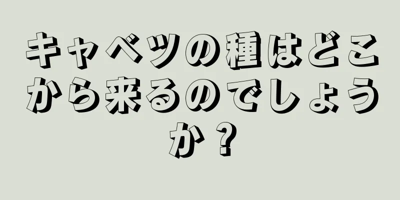 キャベツの種はどこから来るのでしょうか？