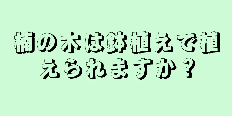 楠の木は鉢植えで植えられますか？