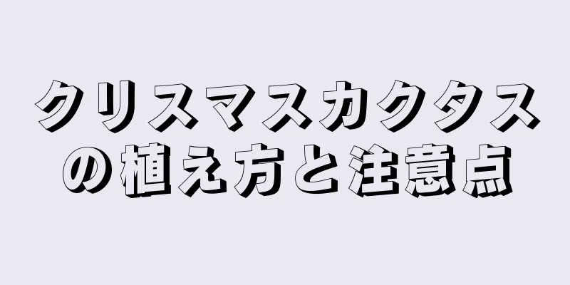 クリスマスカクタスの植え方と注意点