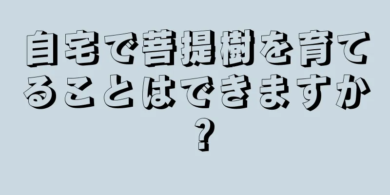 自宅で菩提樹を育てることはできますか？