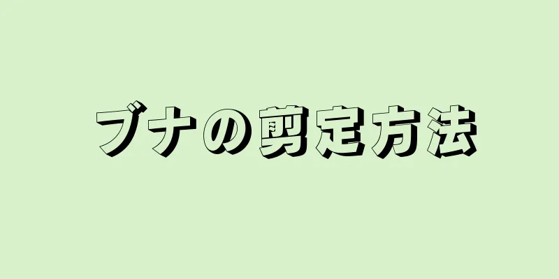 ブナの剪定方法