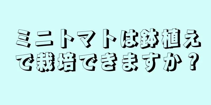 ミニトマトは鉢植えで栽培できますか？