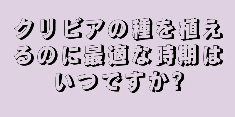 クリビアの種を植えるのに最適な時期はいつですか?